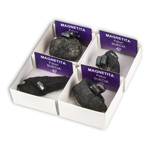 Magnetita (Caja de 4x4)