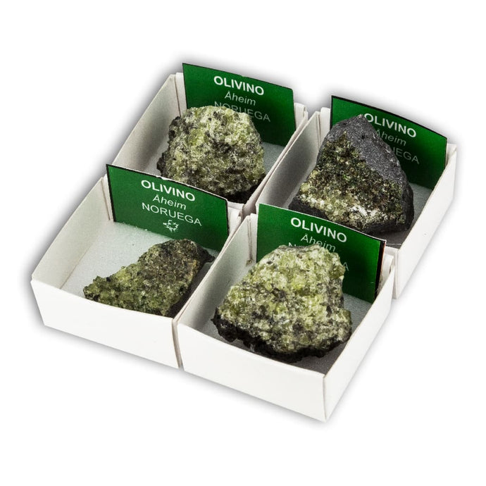 Olivino (Caja de 4x4)