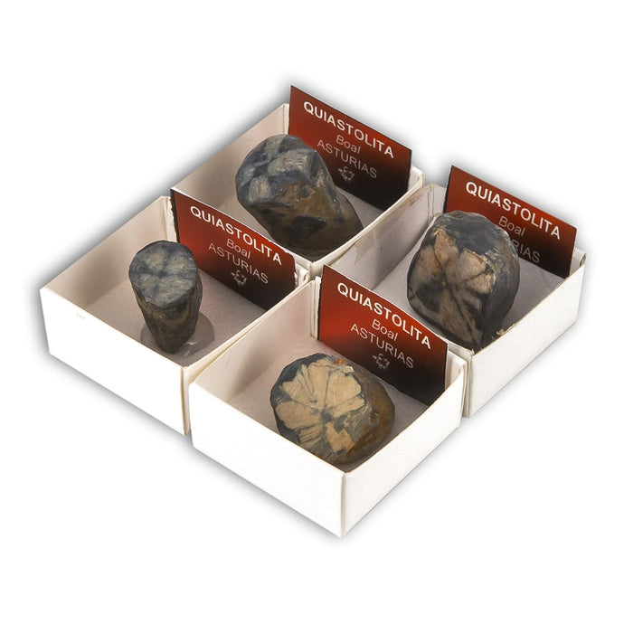 Quiastolita (Caja de 4x4)