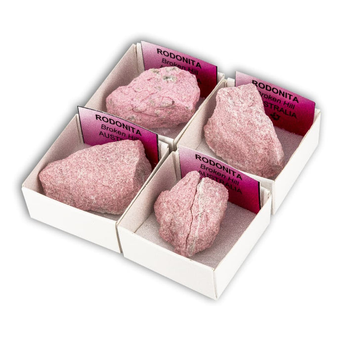 Rodonita (Caja de 4x4)