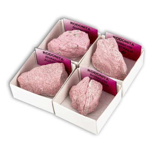 Rodonita (Caja de 4x4)