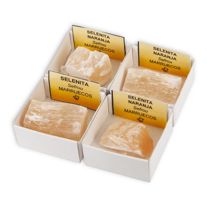 Selenita naranja (Caja de 4x4)