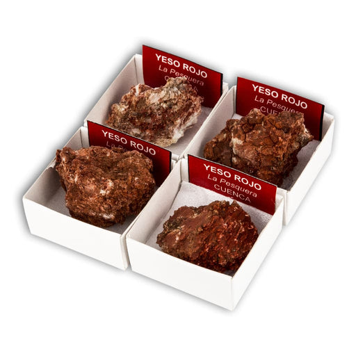 Yeso rojo (Caja de 4x4)