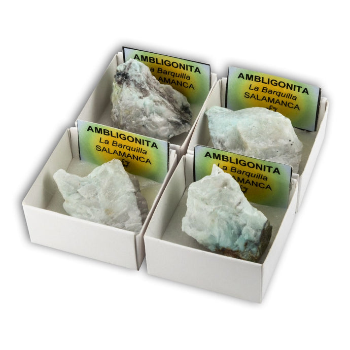 Colección de minerales de Asturias · 12 Cajitas de 4x4 cm - Mineral Prime