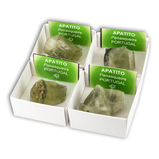 Apatito en Cajita de Colección 4x4 cm
