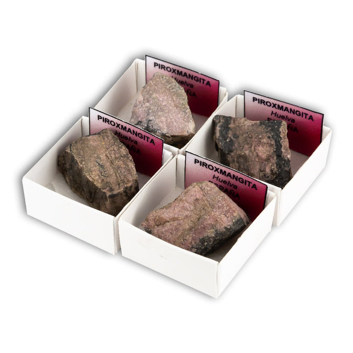 Piroxmangita en Cajita de Colección 4x4 cm